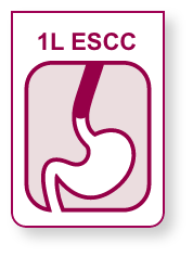 1L ESCC icon