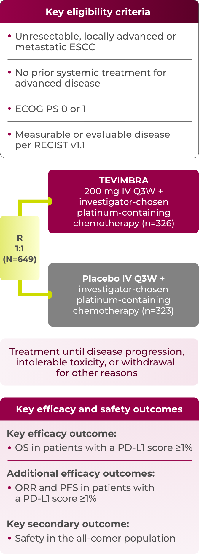 1L ESCC RATIONALE-306 trial design diagram