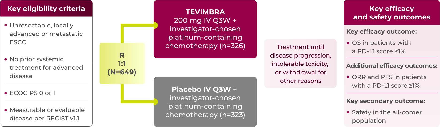 1L ESCC RATIONALE-306 trial design diagram