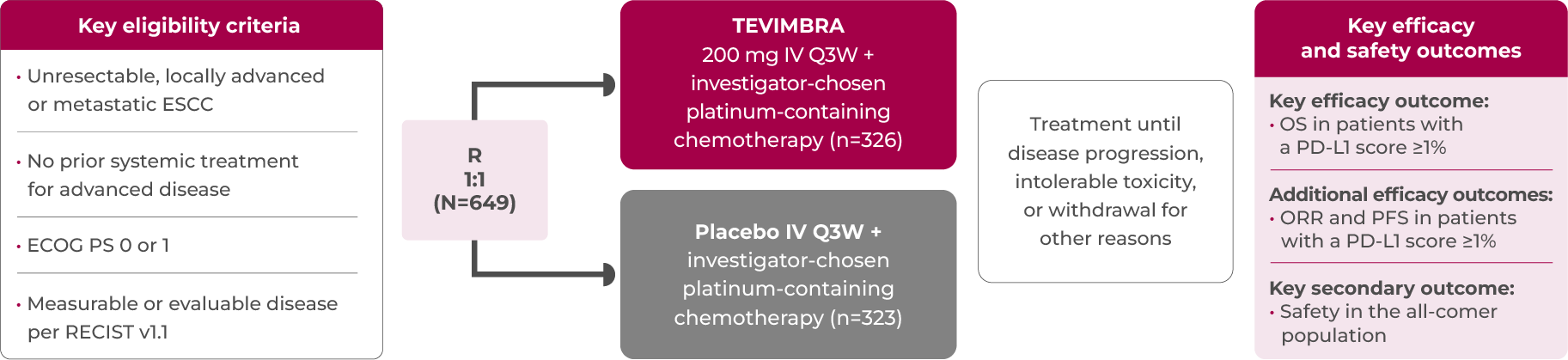 1L ESCC RATIONALE-306 trial design diagram