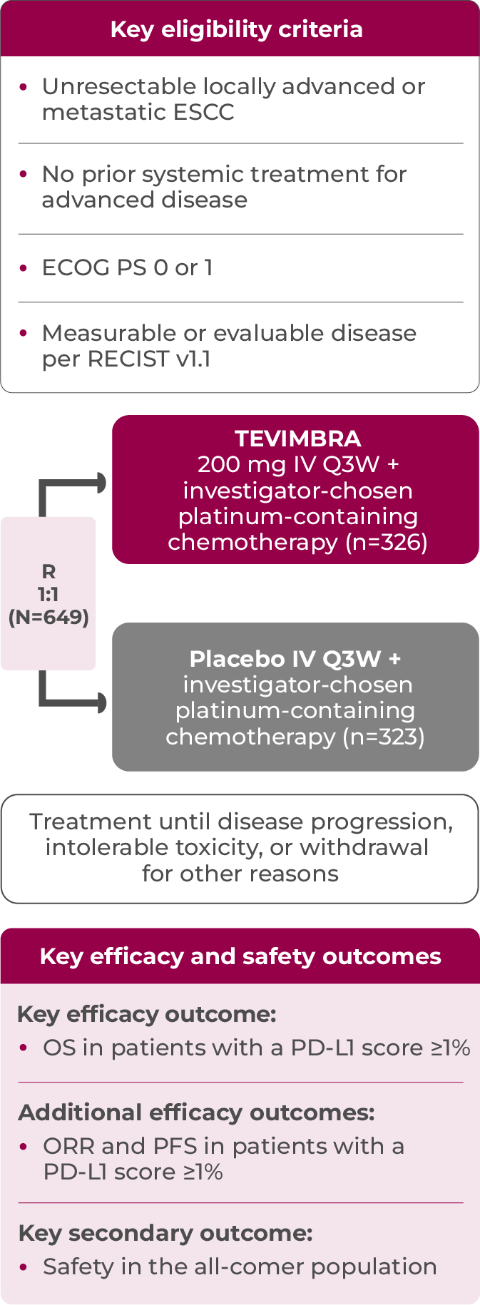 1L ESCC RATIONALE-306 trial design diagram