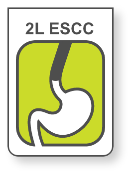 2L ESCC icon