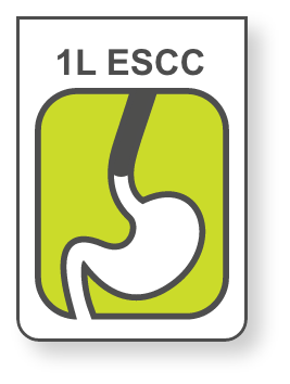 1L ESCC icon