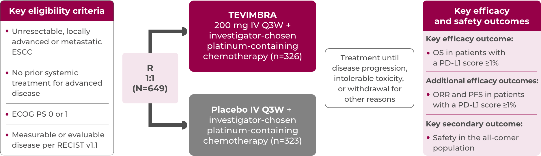1L ESCC RATIONALE-306 trial design diagram