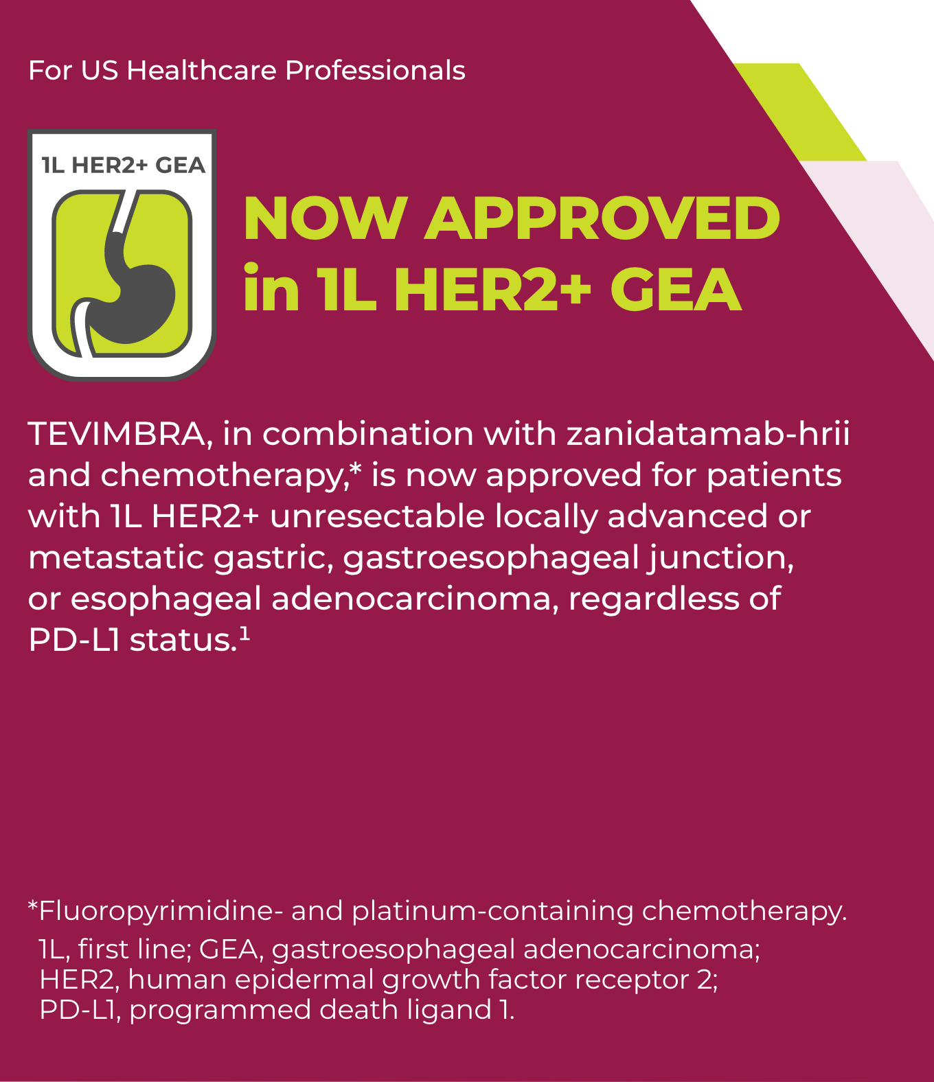 Tevimbra banner