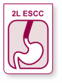 main-icon-2l 2L ESCC icon
